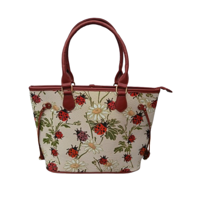 SAC11951-3(coccinelle)